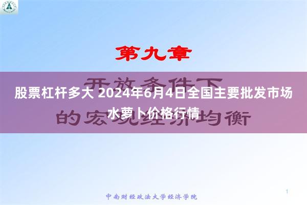 股票杠杆多大 2024年6月4日全国主要批发市场水萝卜价格行情