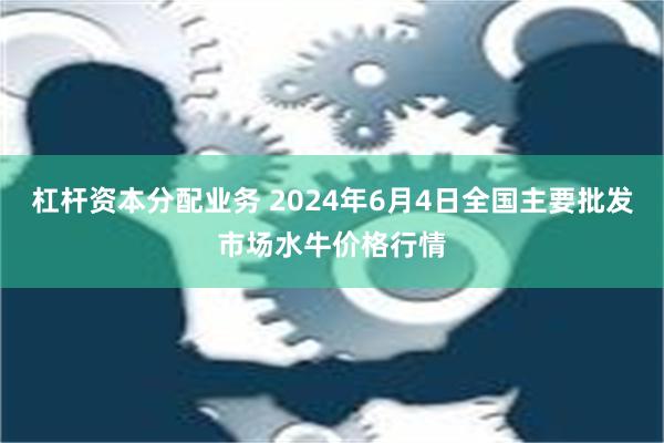 杠杆资本分配业务 2024年6月4日全国主要批发市场水牛价格行情