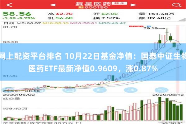 网上配资平台排名 10月22日基金净值：国泰中证生物医药ETF最新净值0.9609，涨0.87%