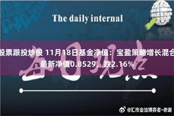 股票跟投炒股 11月18日基金净值：宝盈策略增长混合最新净值0.8529，跌2.16%