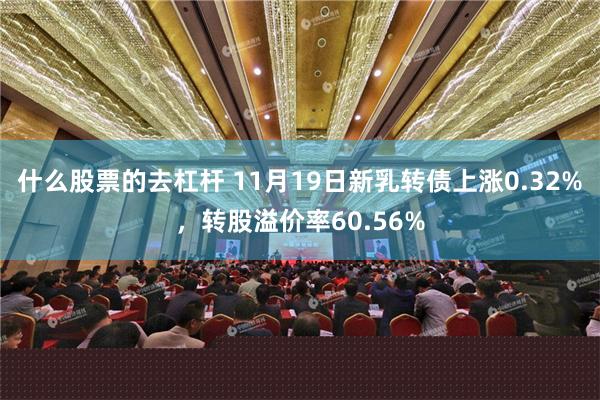 什么股票的去杠杆 11月19日新乳转债上涨0.32%，转股溢价率60.56%