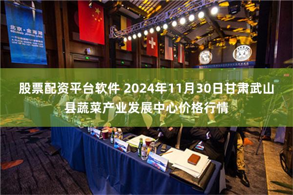 股票配资平台软件 2024年11月30日甘肃武山县蔬菜产业发展中心价格行情