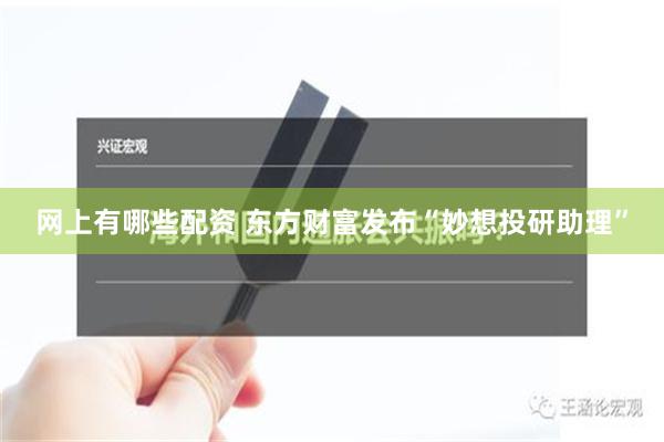 网上有哪些配资 东方财富发布“妙想投研助理”