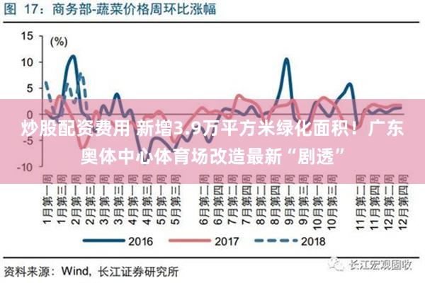 炒股配资费用 新增3.9万平方米绿化面积！广东奥体中心体育场改造最新“剧透”