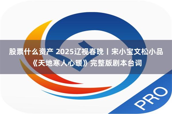 股票什么资产 2025辽视春晚丨宋小宝文松小品《天地寒人心暖》完整版剧本台词