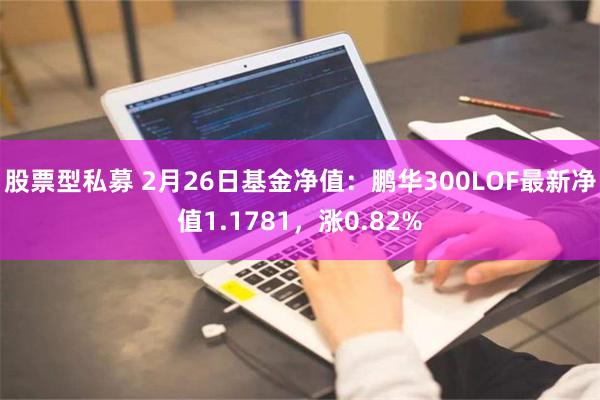 股票型私募 2月26日基金净值：鹏华300LOF最新净值1.1781，涨0.82%